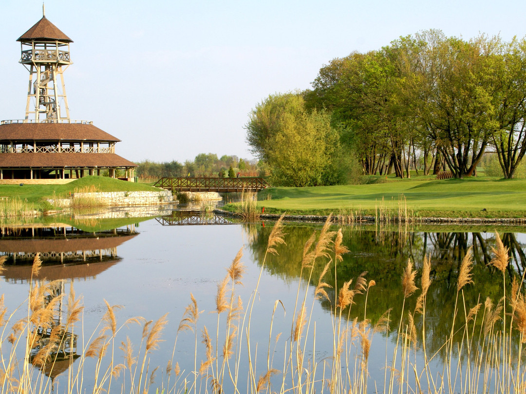 Black River Golf Course景点图片