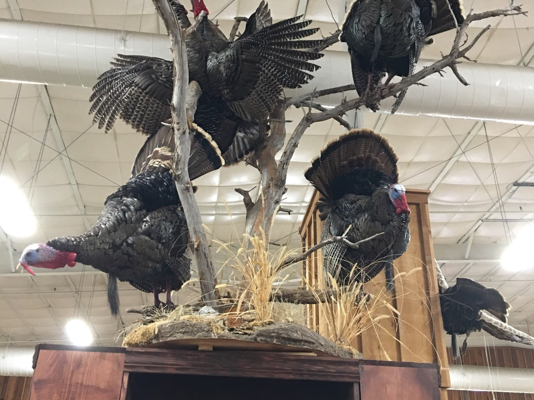 Mack's Prairie Wings-Stuttgart必去景点