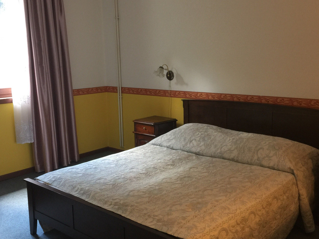 Hotel Panzio 100主图