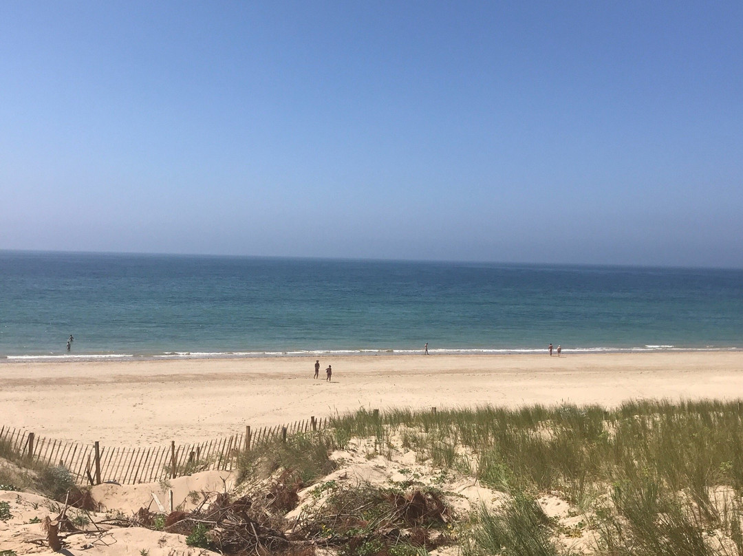 Plage Gros Jonc-雷岛必去景点