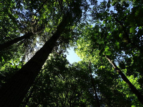 The Portland Insider-波特兰必去景点