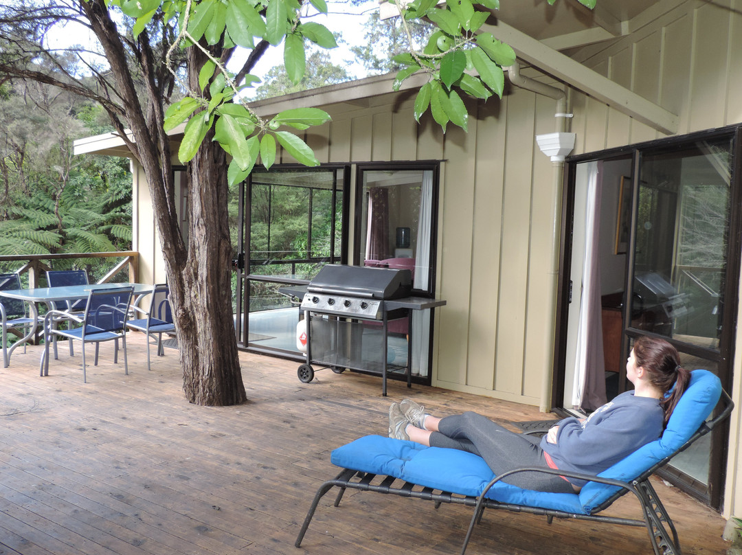 Waiheke Punga Lodge主图