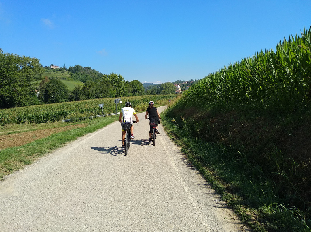 CicloTurismo E-bike - Gite tra le colline Torinesi景点图片