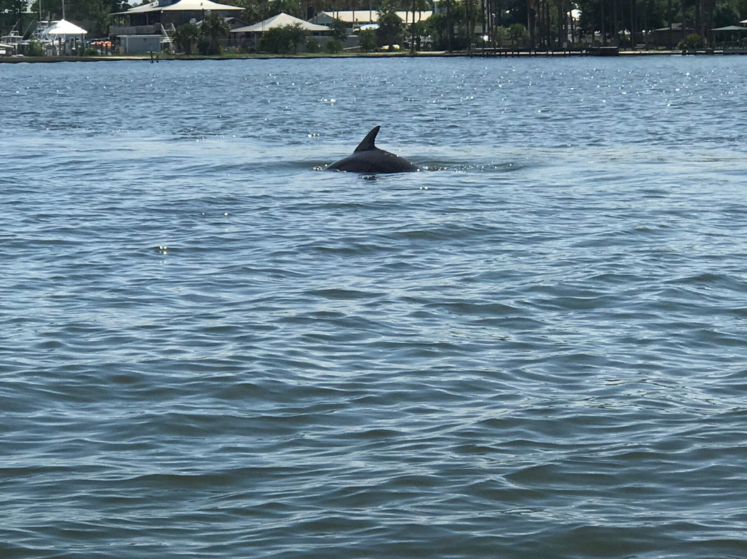 Orange Beach Cat Boat Tours-橙色海湾必去景点