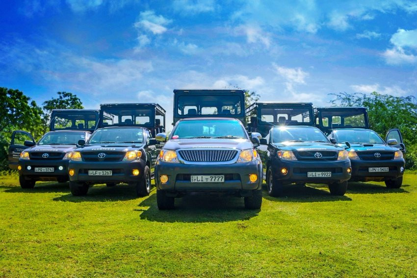 Imperial Safari Jeep Tour景点图片