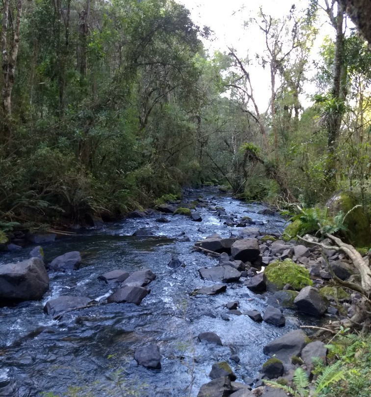 Cachoeira Puxa Nervos-Tibagi必去景点