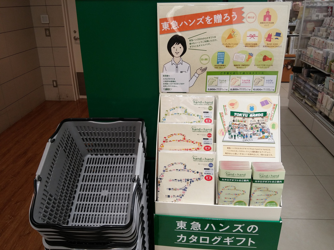 Shinshizuoka Cenova-静冈市必去景点