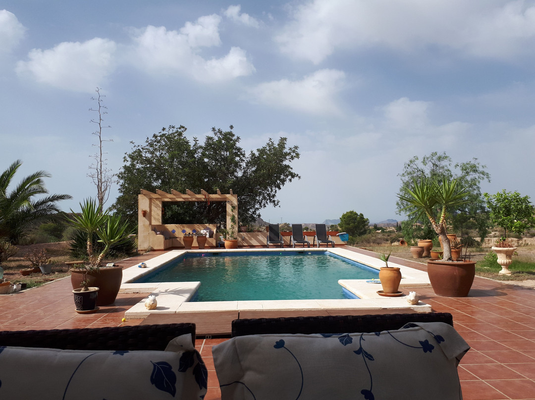 Mas del Conill主图