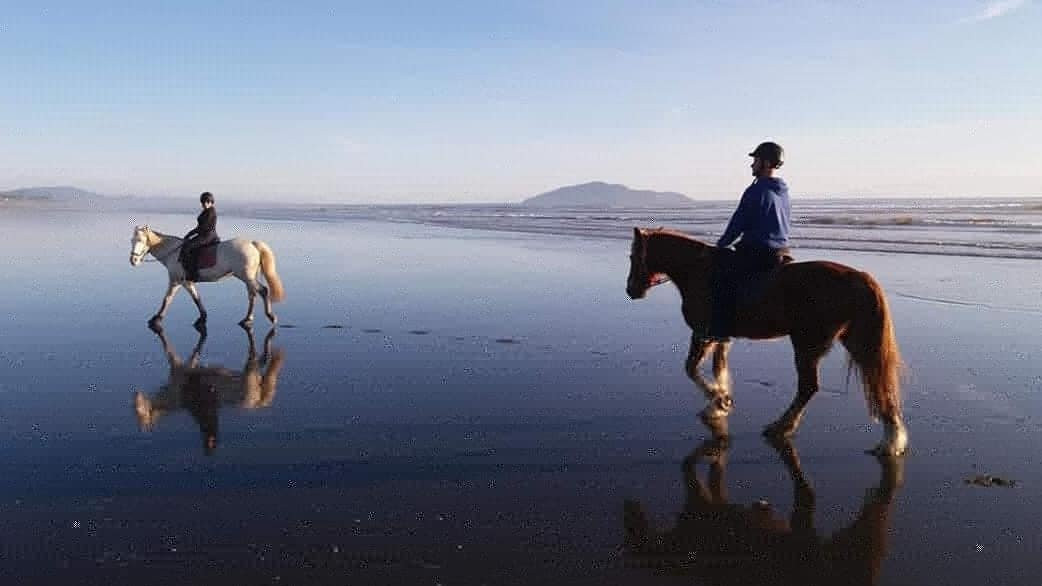 Beachbrook Riding Stables景点图片