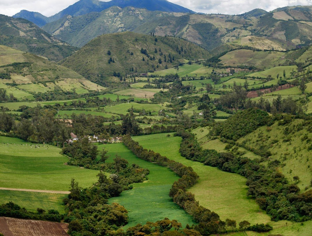 Nono Cloud Forest-Nono必去景点
