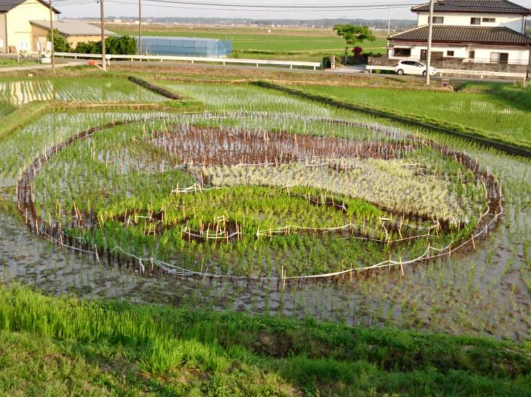 Soma Tambo Art-相马市必去景点
