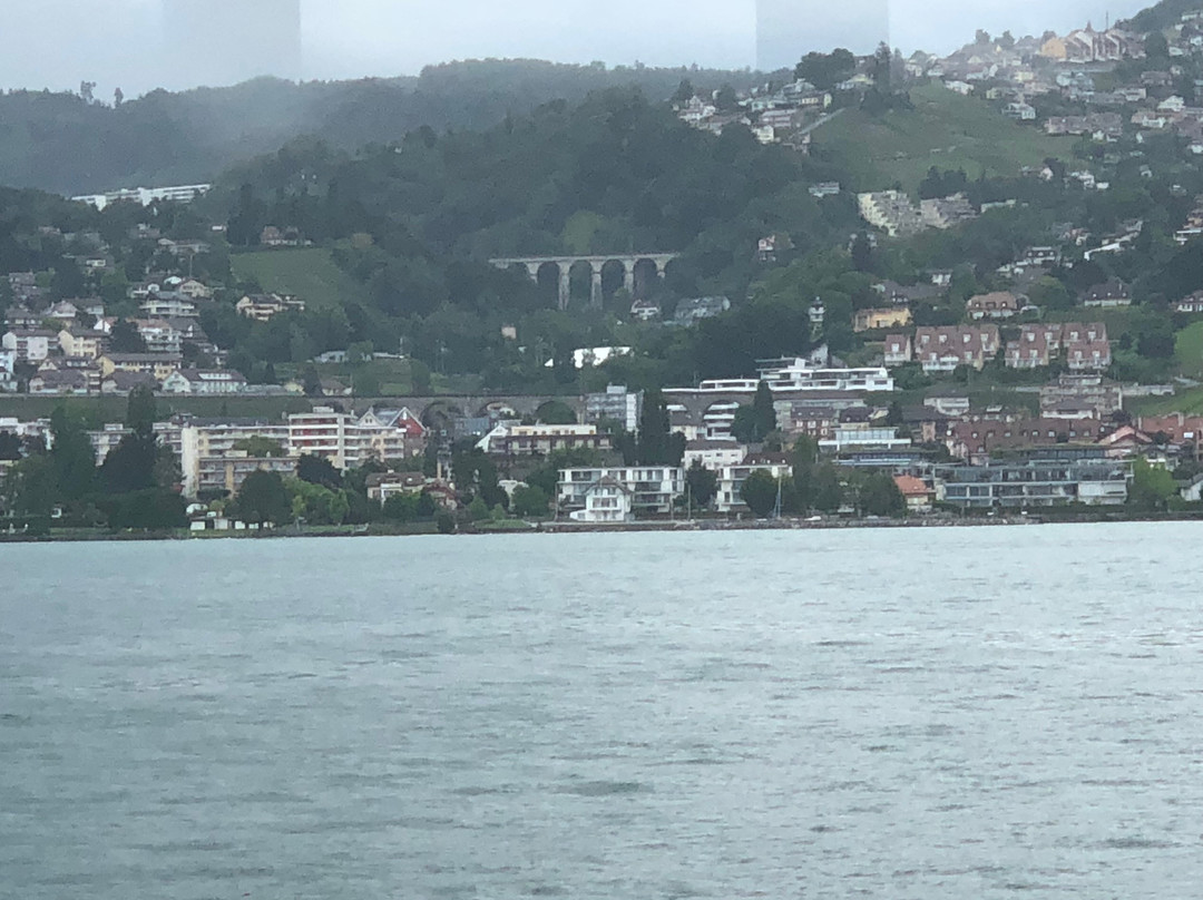 La Suisse - Belle Epoque - Paddle Steamboat景点图片