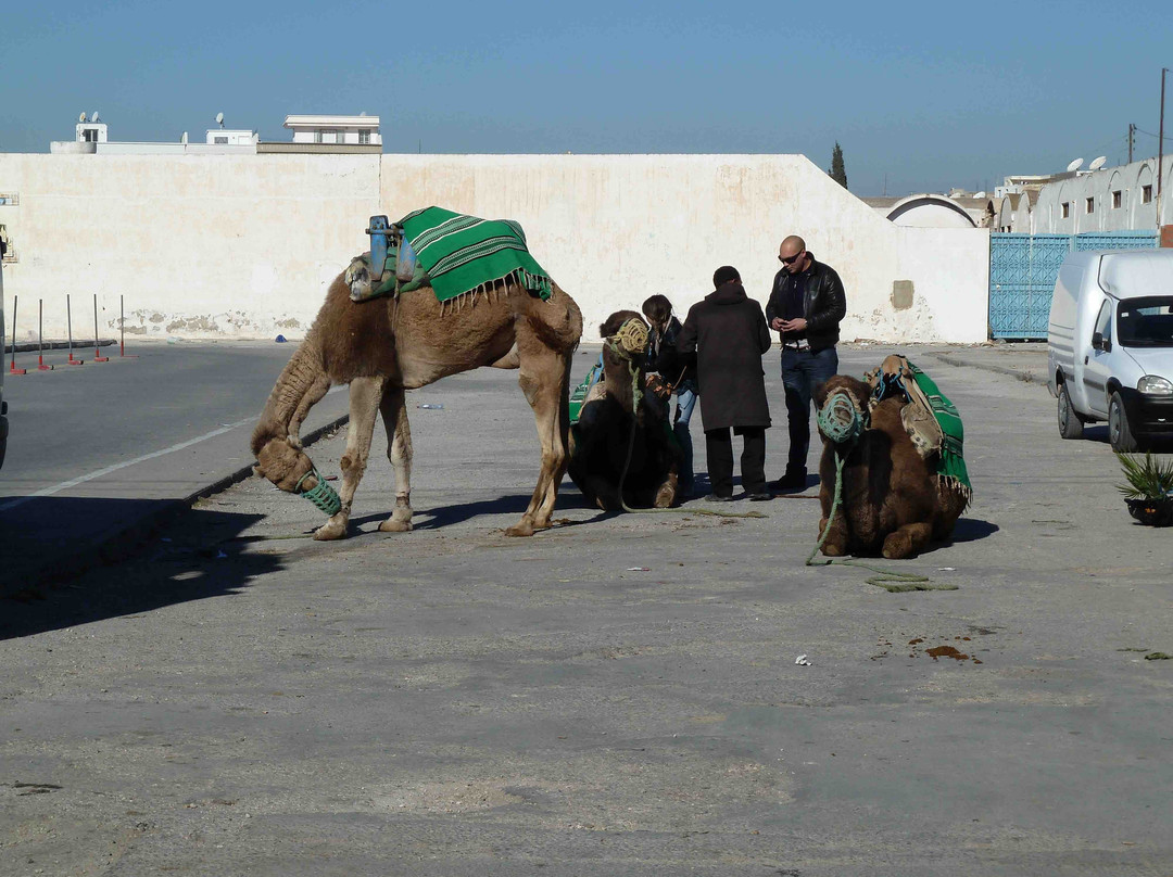 Souks-斯法克斯必去景点