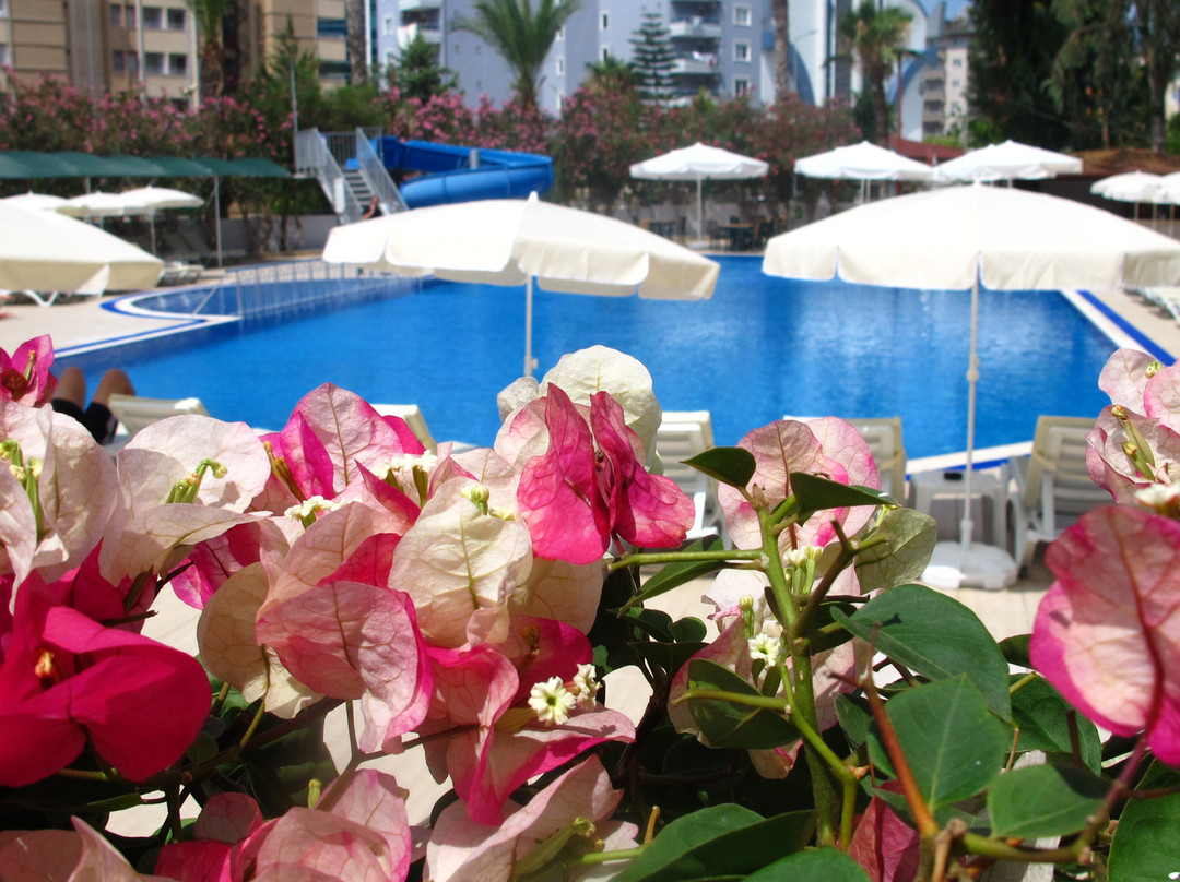 Simply Fine Hotel Alize主图