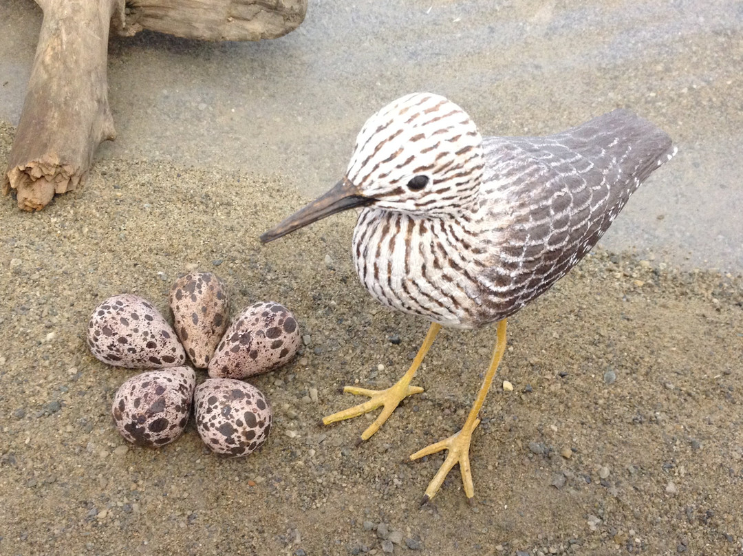 Birds of Vermont Museum-Huntington必去景点