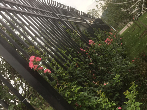 通天寨-石城县必去景点