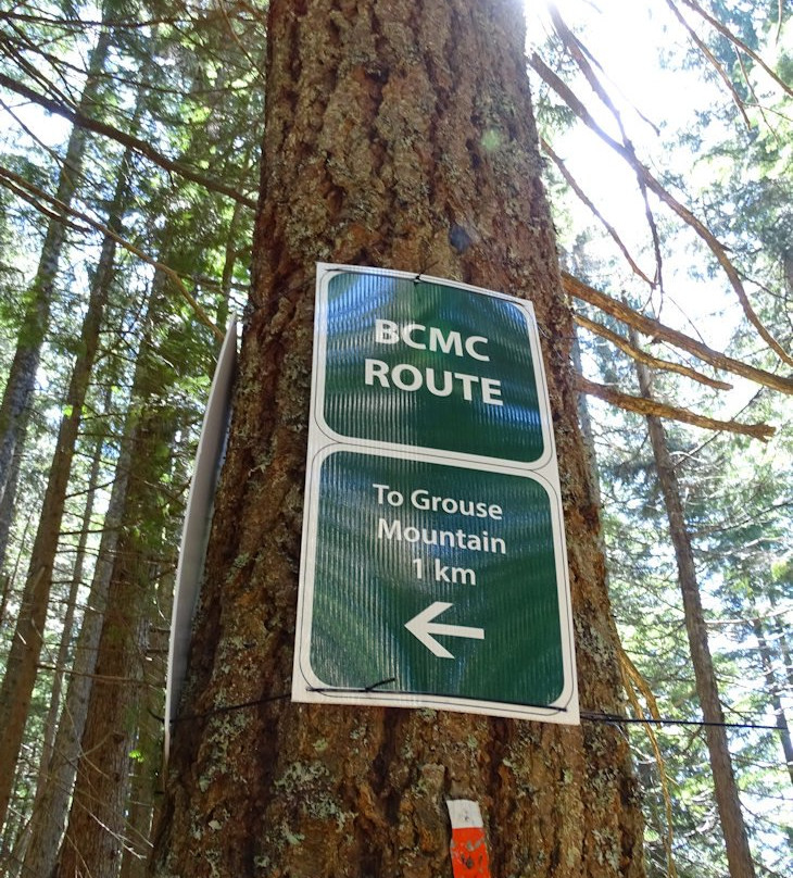 BCMC Trail景点图片
