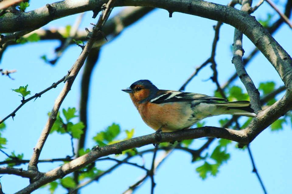 Sun Citi Resort主图