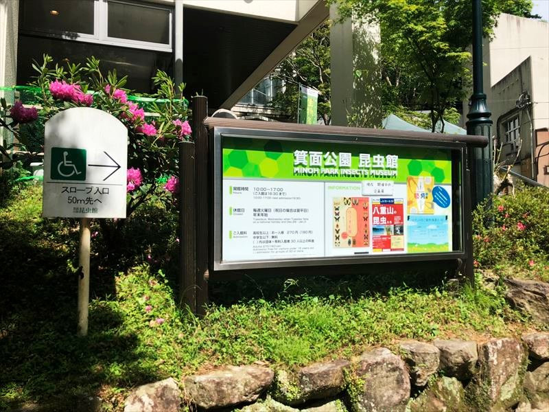 Mino Park Museum of Insects-美浓市必去景点