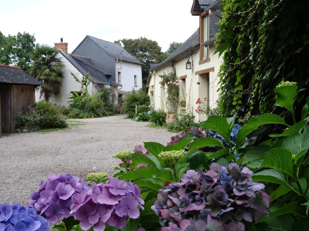 Le Moulin de Blochet主图