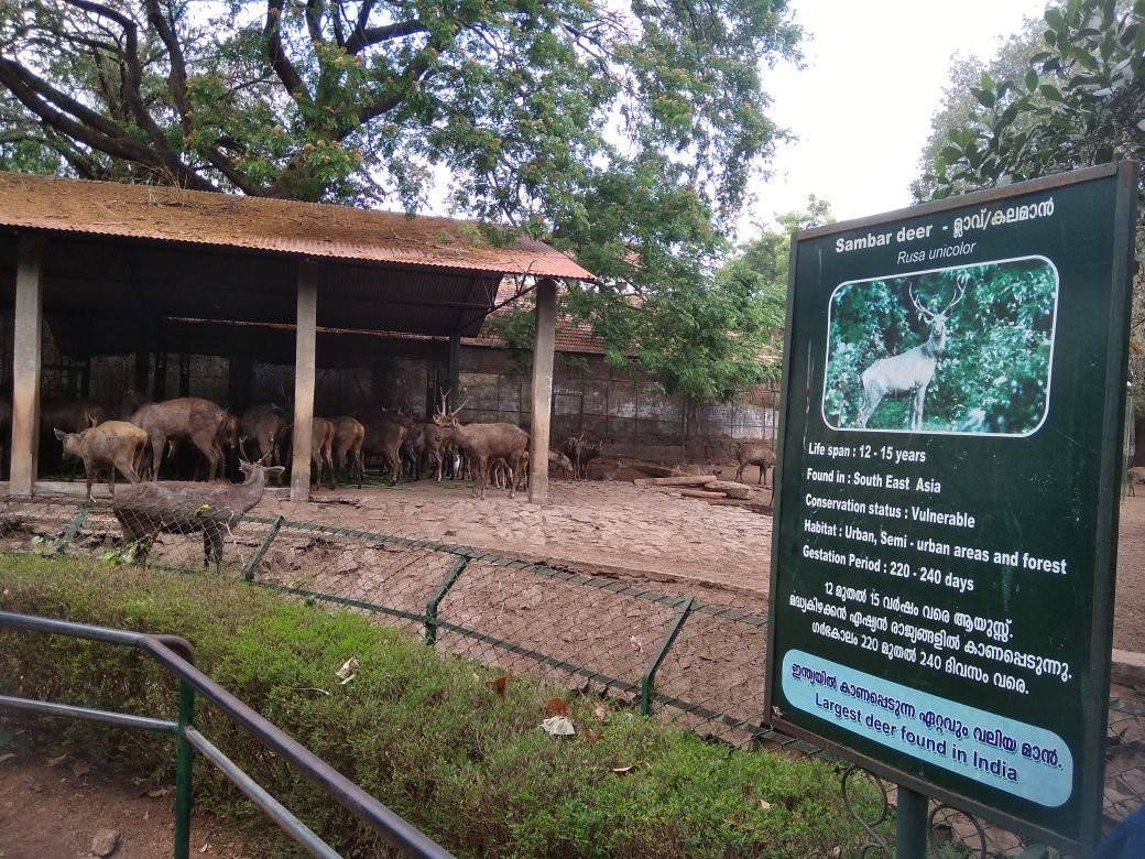 Thrissur Zoo & Museum景点图片