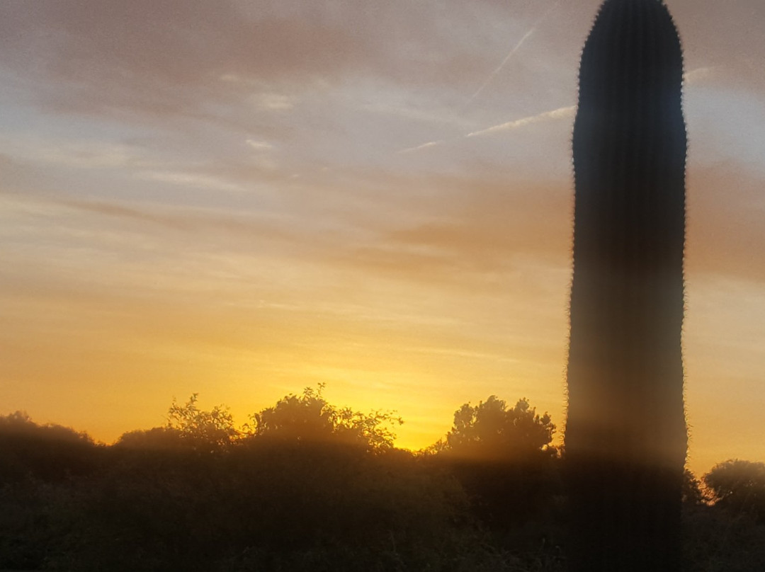 Veterans Oasis Park-钱德勒必去景点