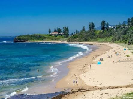 Coledale餐馆和美食-Sharky's