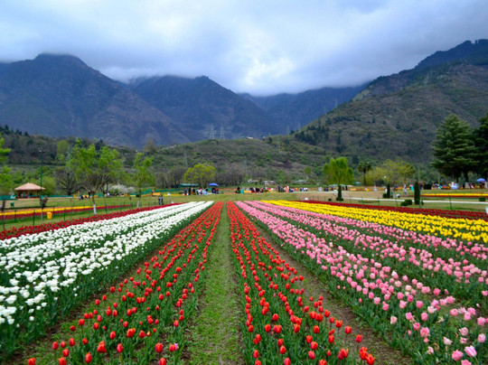 F.B.Tour & Travels-斯利那加必去景点