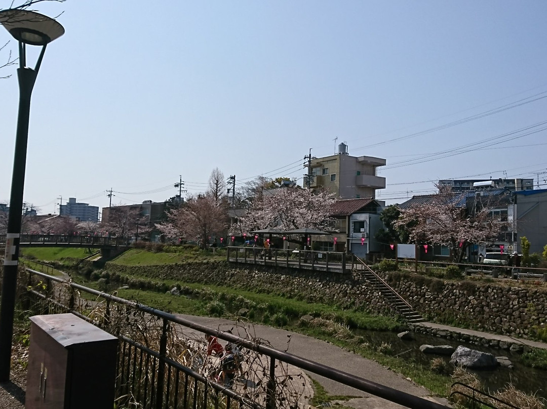 Shimizu Ryokuchi景点图片
