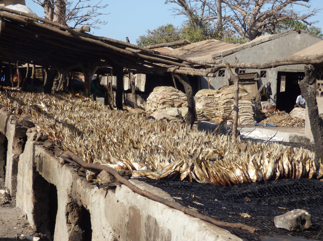 Tanje Village Museum景点图片