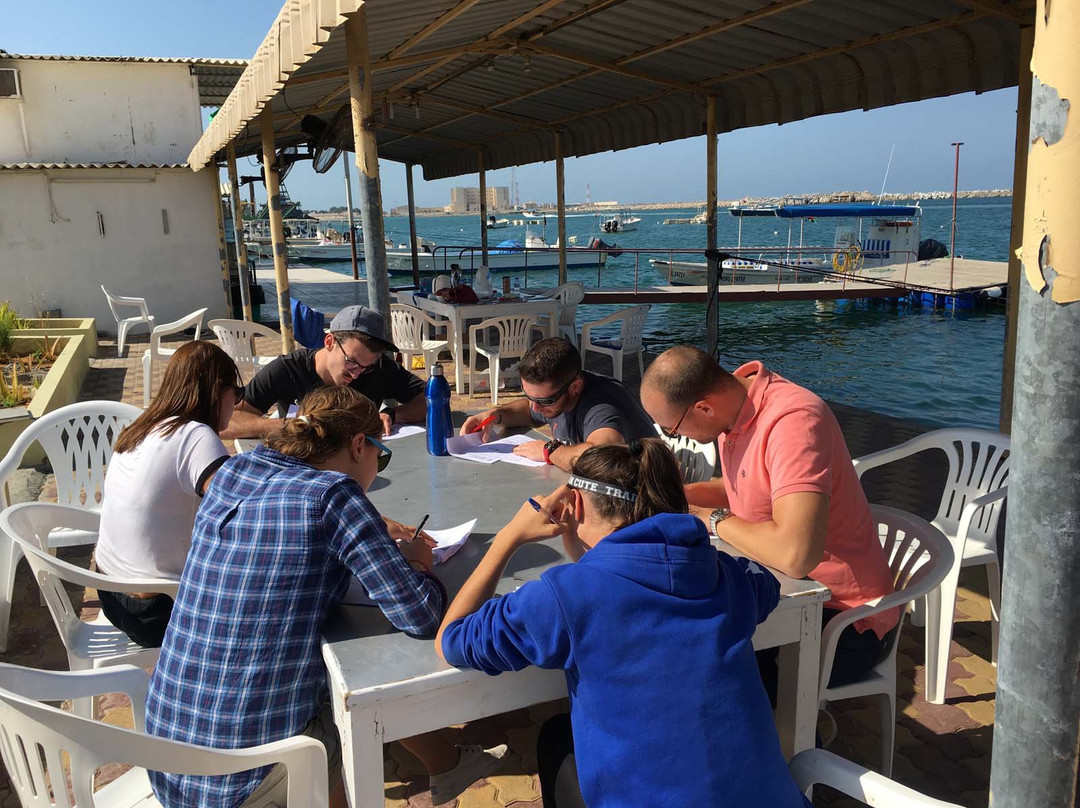 Al Jazeera Diving & Swimming Center-哈伊马角必去景点