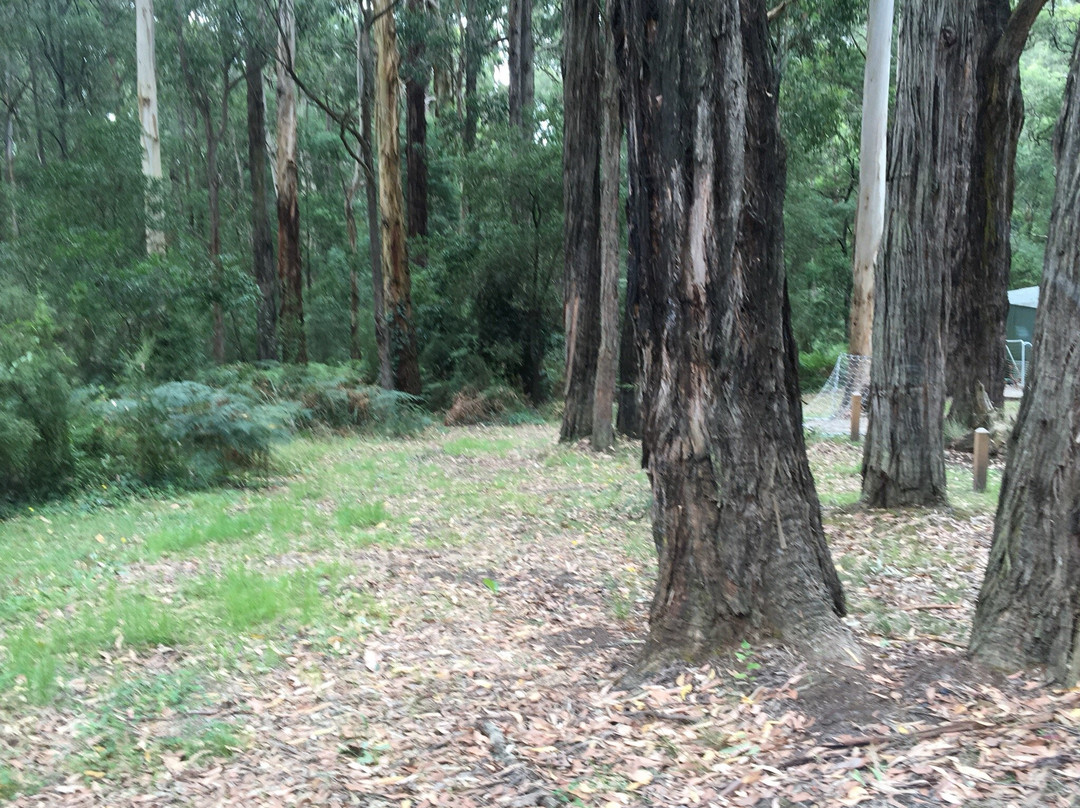 Minak Reserve-贝尔格雷夫必去景点