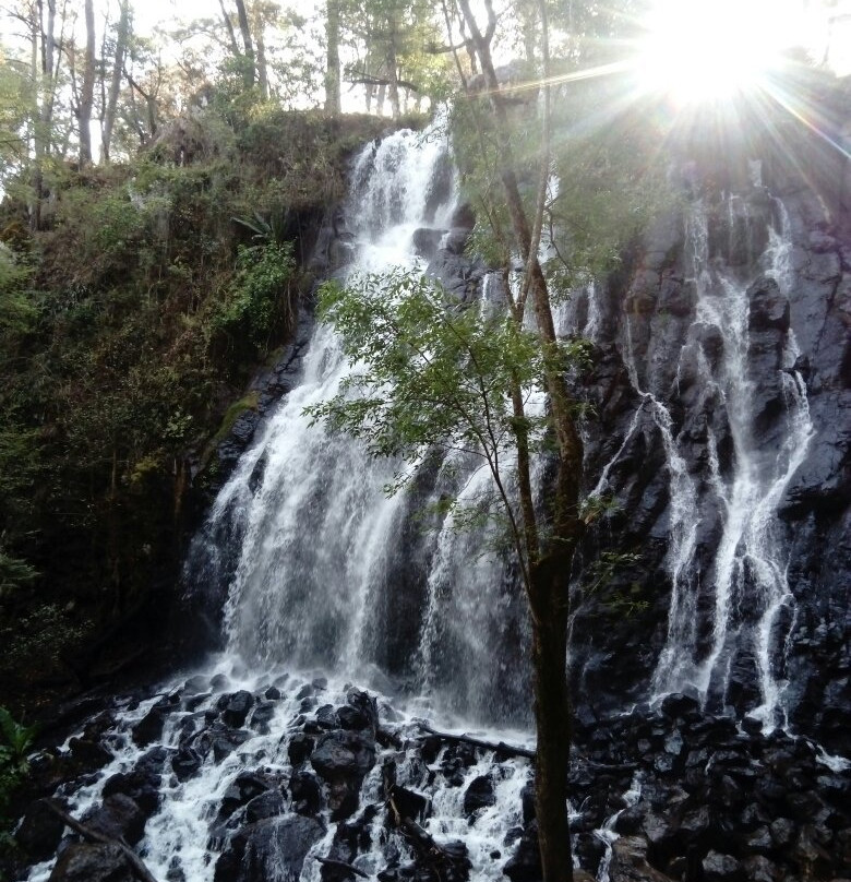 Velo de Novia Waterfall景点图片