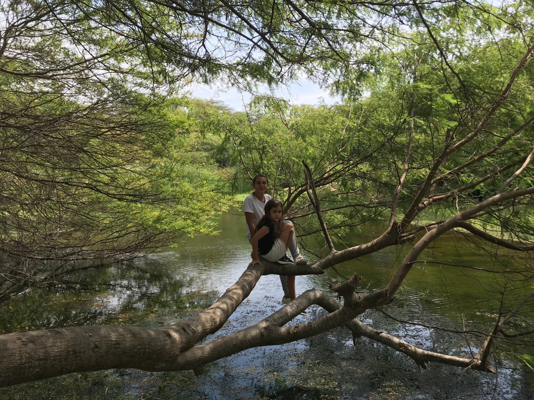 Bosque El Canoncillo-Pacasmayo必去景点
