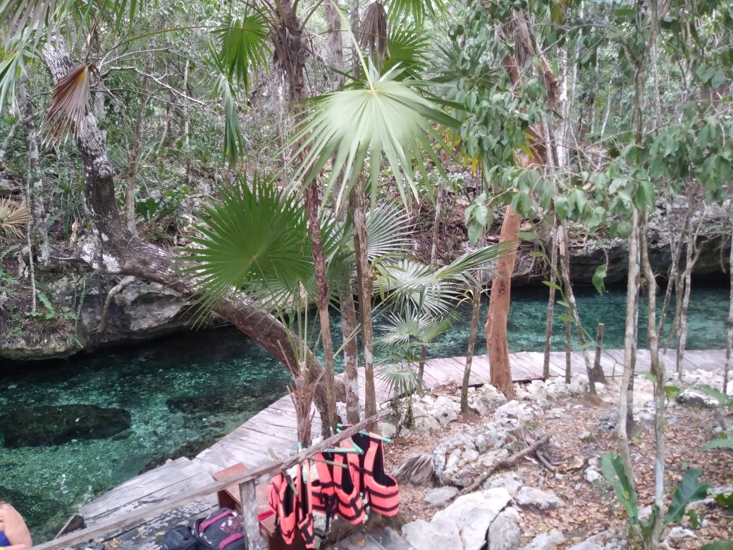 Cenotes Park Hidden Treasures景点图片