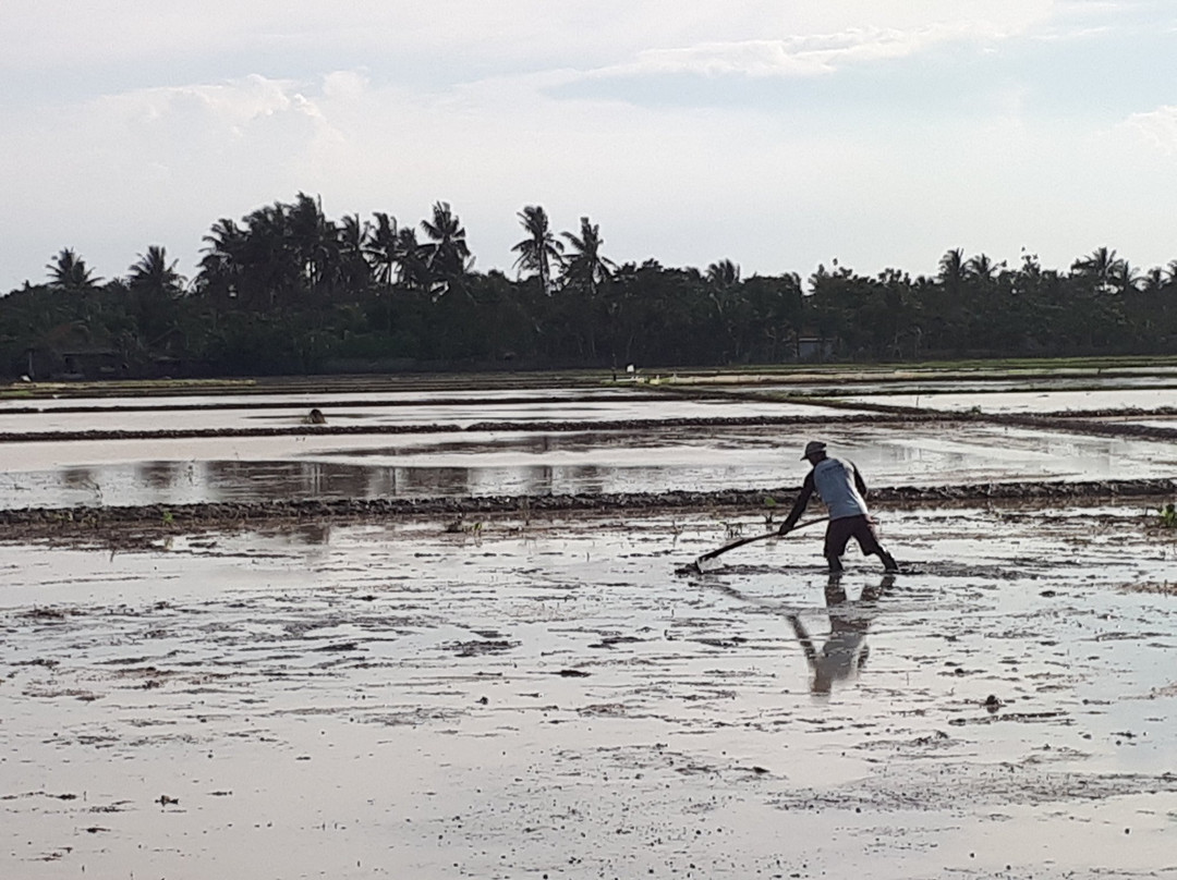 Blandongan Temple-加拉横必去景点
