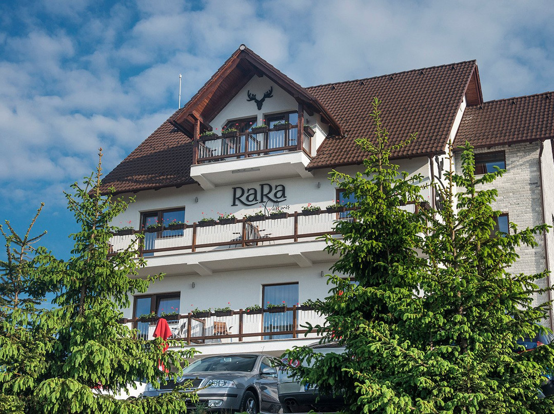 Pensiune Rara Paltinis主图