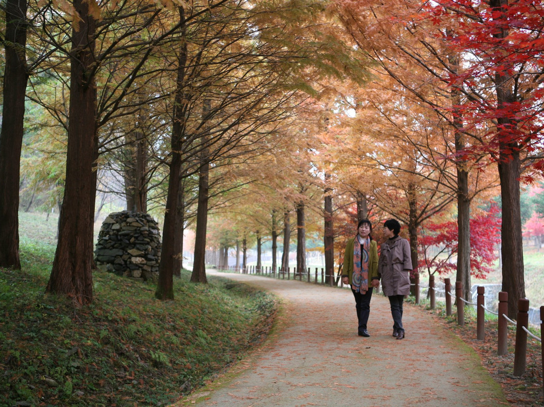 Midongsan Arboretum-清州市必去景点