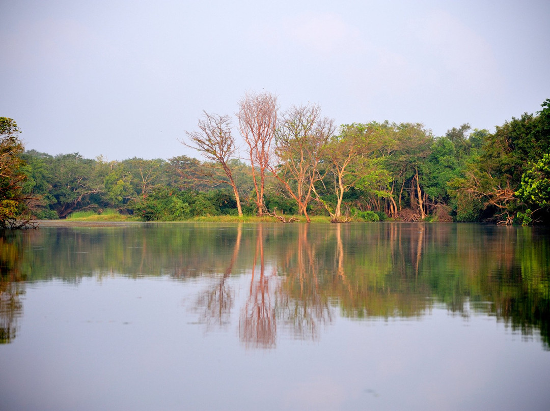 The Backwaters主图