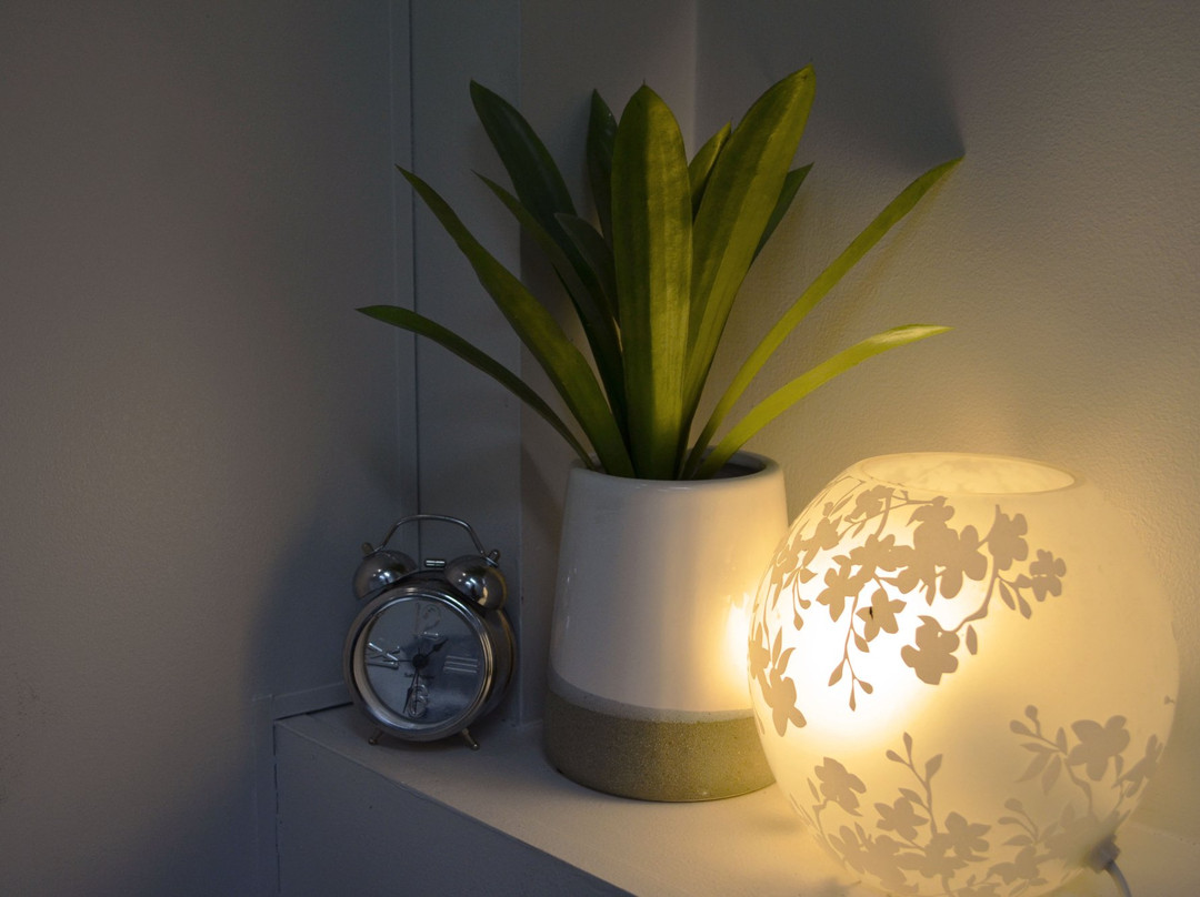 Amour Beauty-霍舌姆必去景点