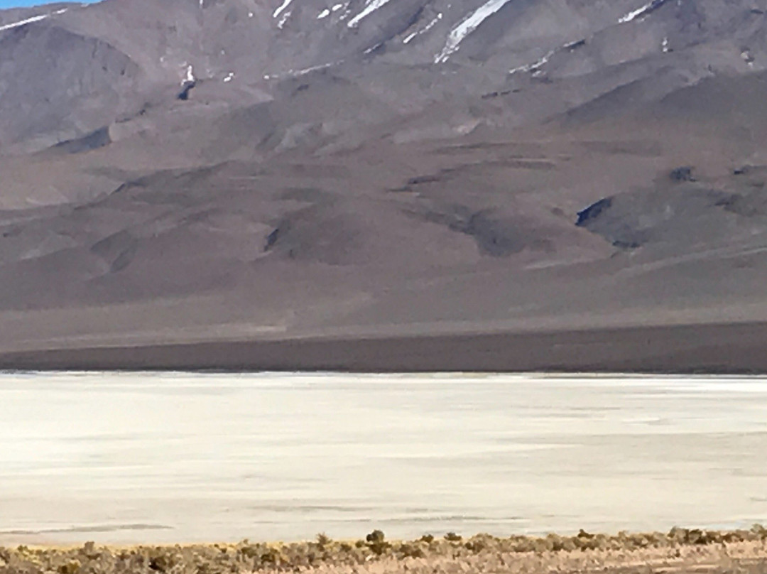 Salar de Ascotan景点图片