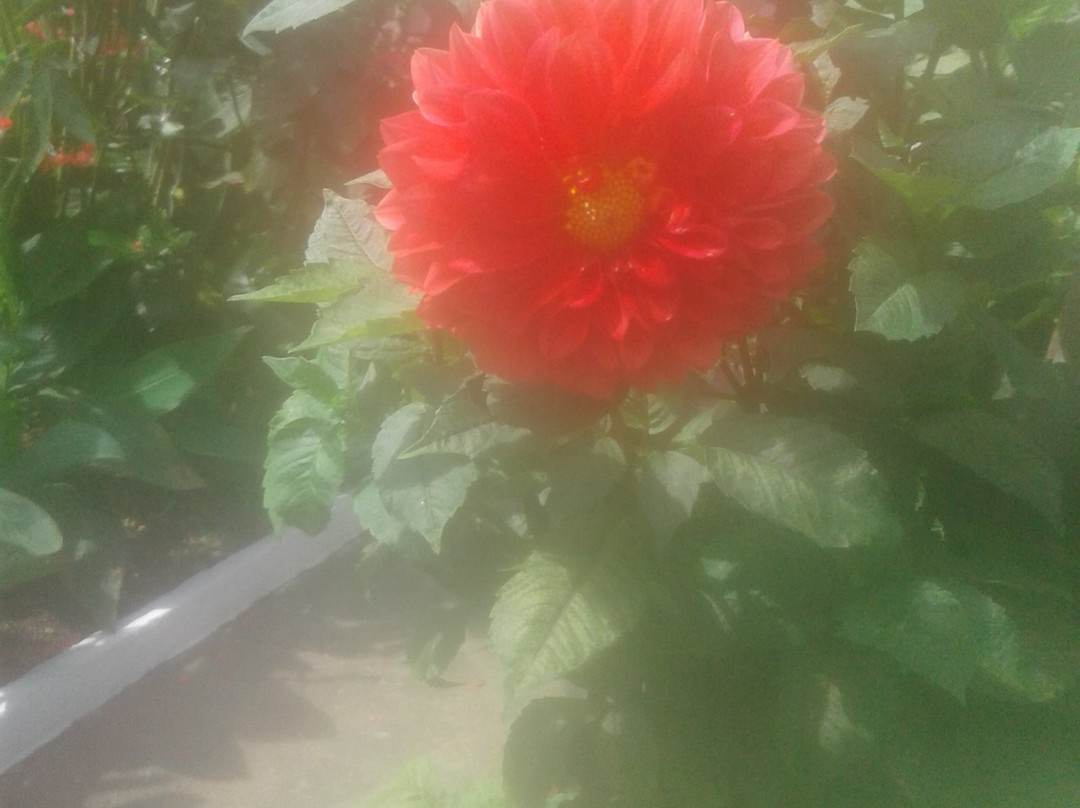 Pousada dos Capuchinhos主图