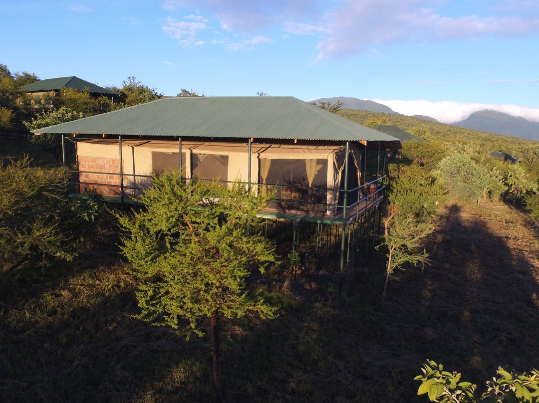 Ngorongoro Lodge & Campsite主图