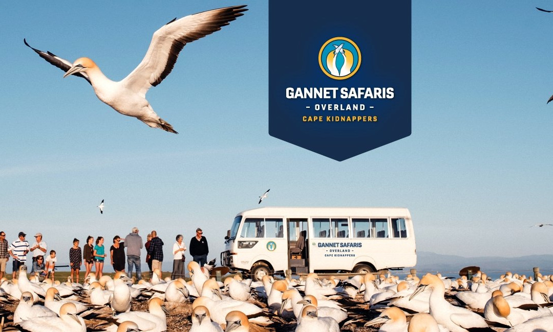 Gannet Safaris Overland景点图片