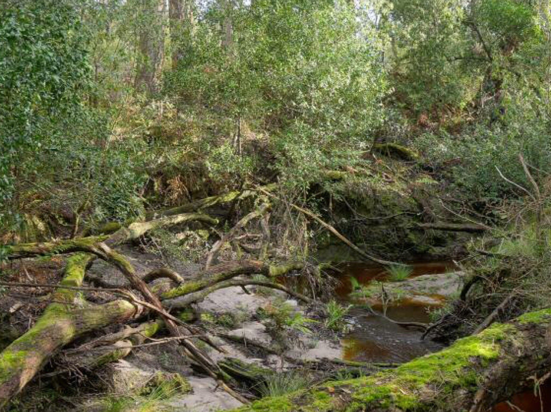 Adams Creek Conservation Reserve-Nyora必去景点