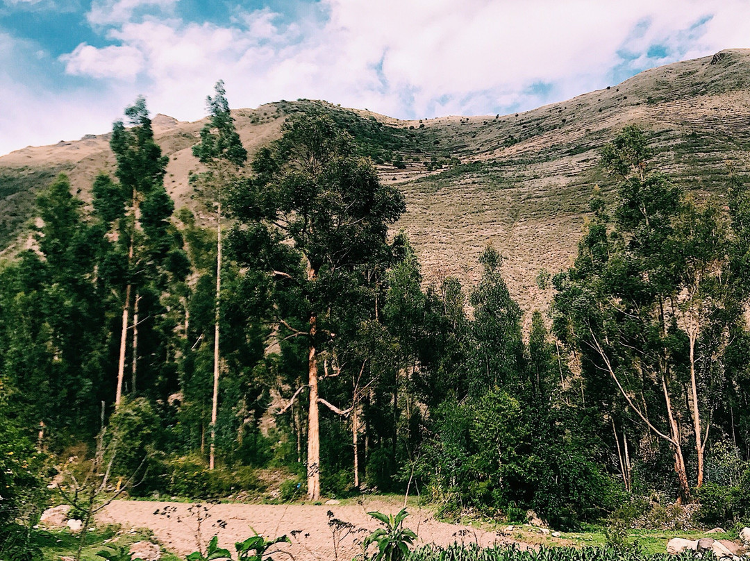 Peru Shamans-库斯科必去景点