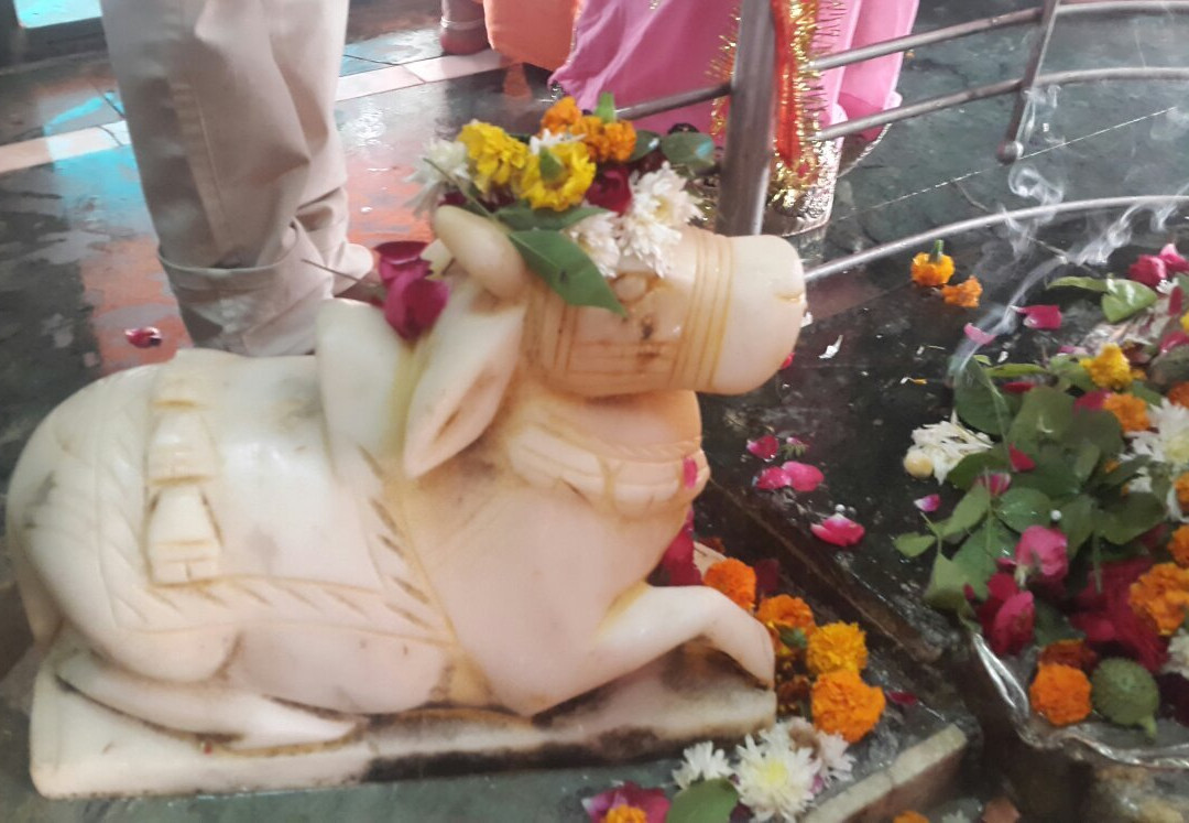 Budheshwar Mahadev Temple景点图片