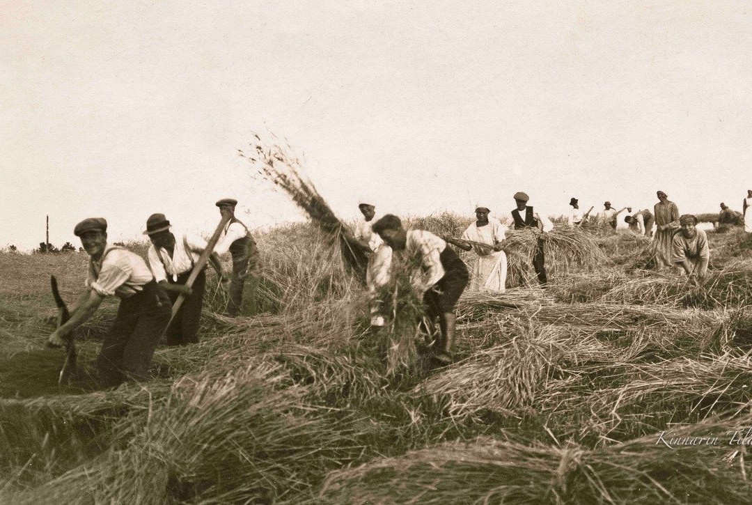 Kinnarin Tila-Hollola必去景点