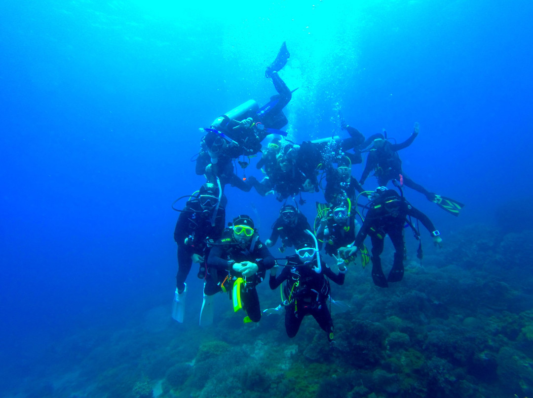 Coral Dive & Adventure景点图片