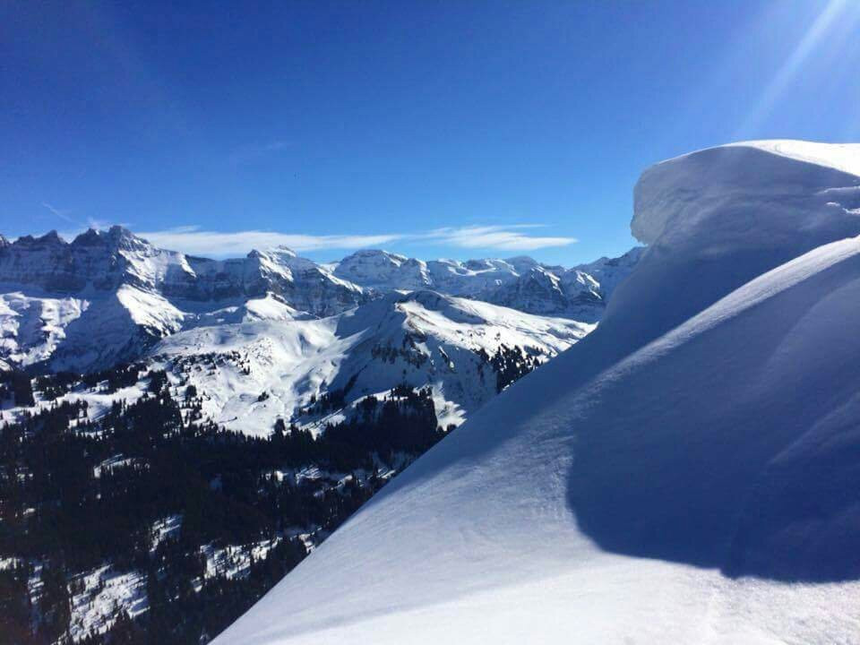 Blue Chilli Snowsports景点图片